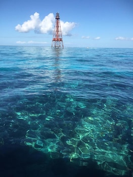 captain pips marina and hideaway