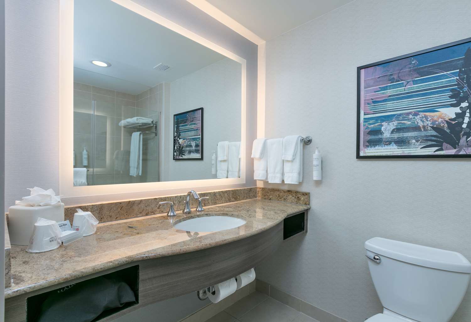 hilton garden inn dallas arlington