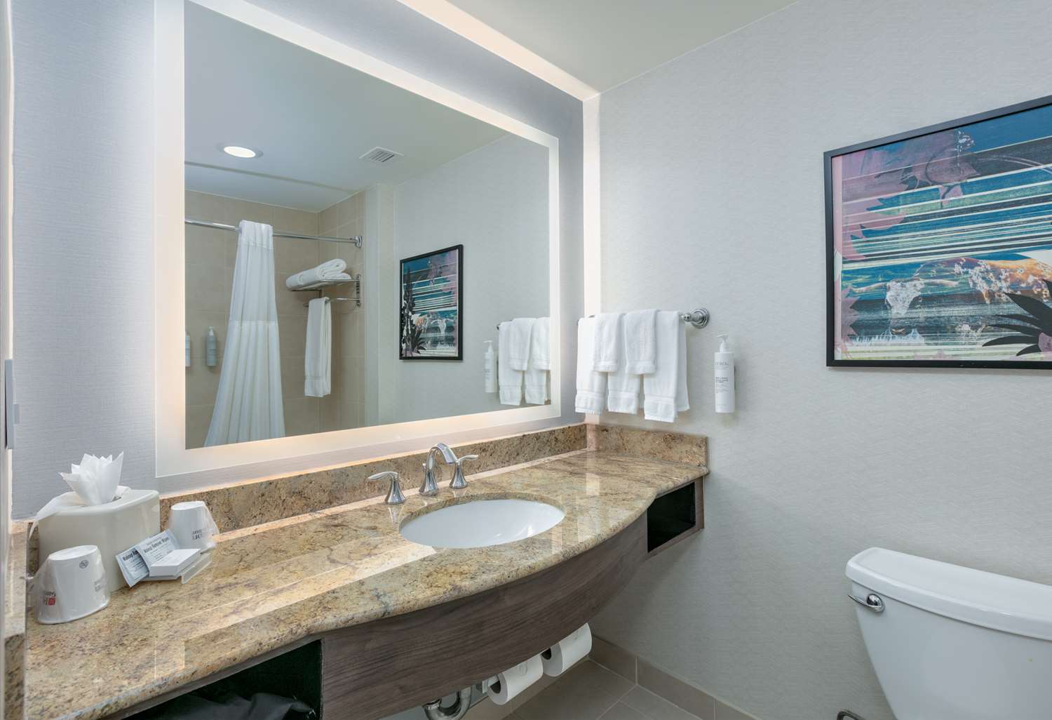 hilton garden inn dallas arlington