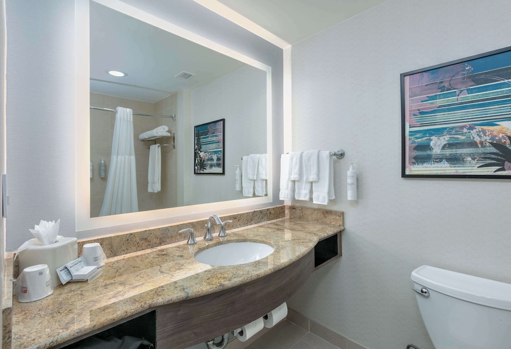 hilton garden inn dallas arlington