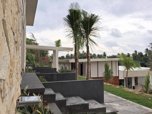 d season karimunjawa