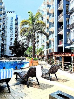 one palm tree villas