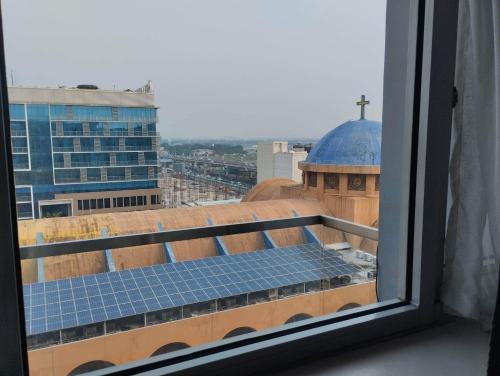 one palm tree villas