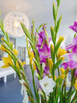 aqua soleil hotel and mineral water spa