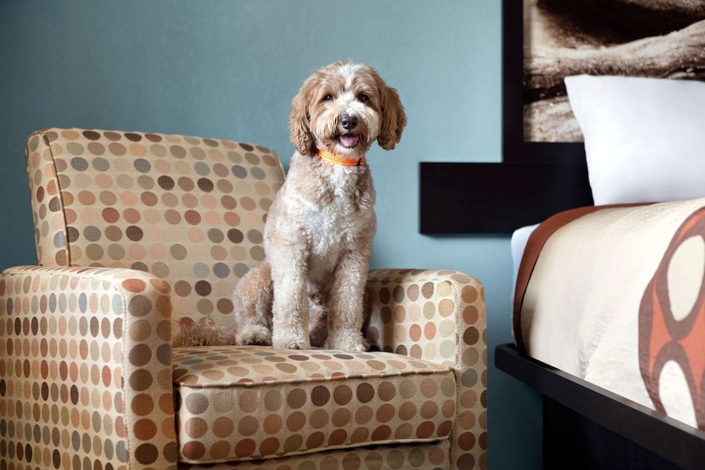 super 8 by wyndham whites creek nashville nw area