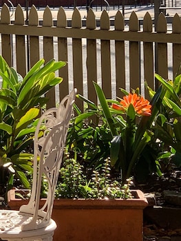 burwood bed and breakfast