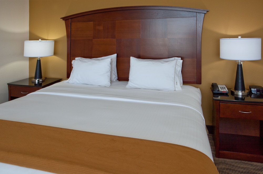 holiday inn express hotel and suites austin south buda