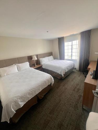 staybridge suites austin airport by ihg