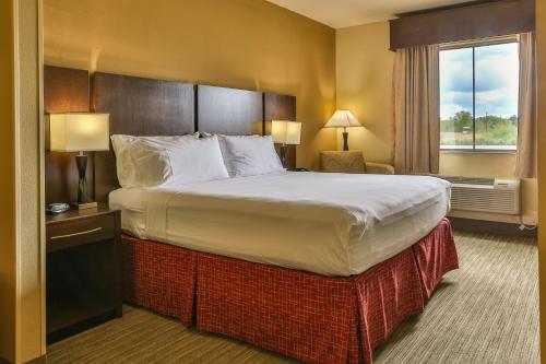holiday inn express and suites houston south pearl