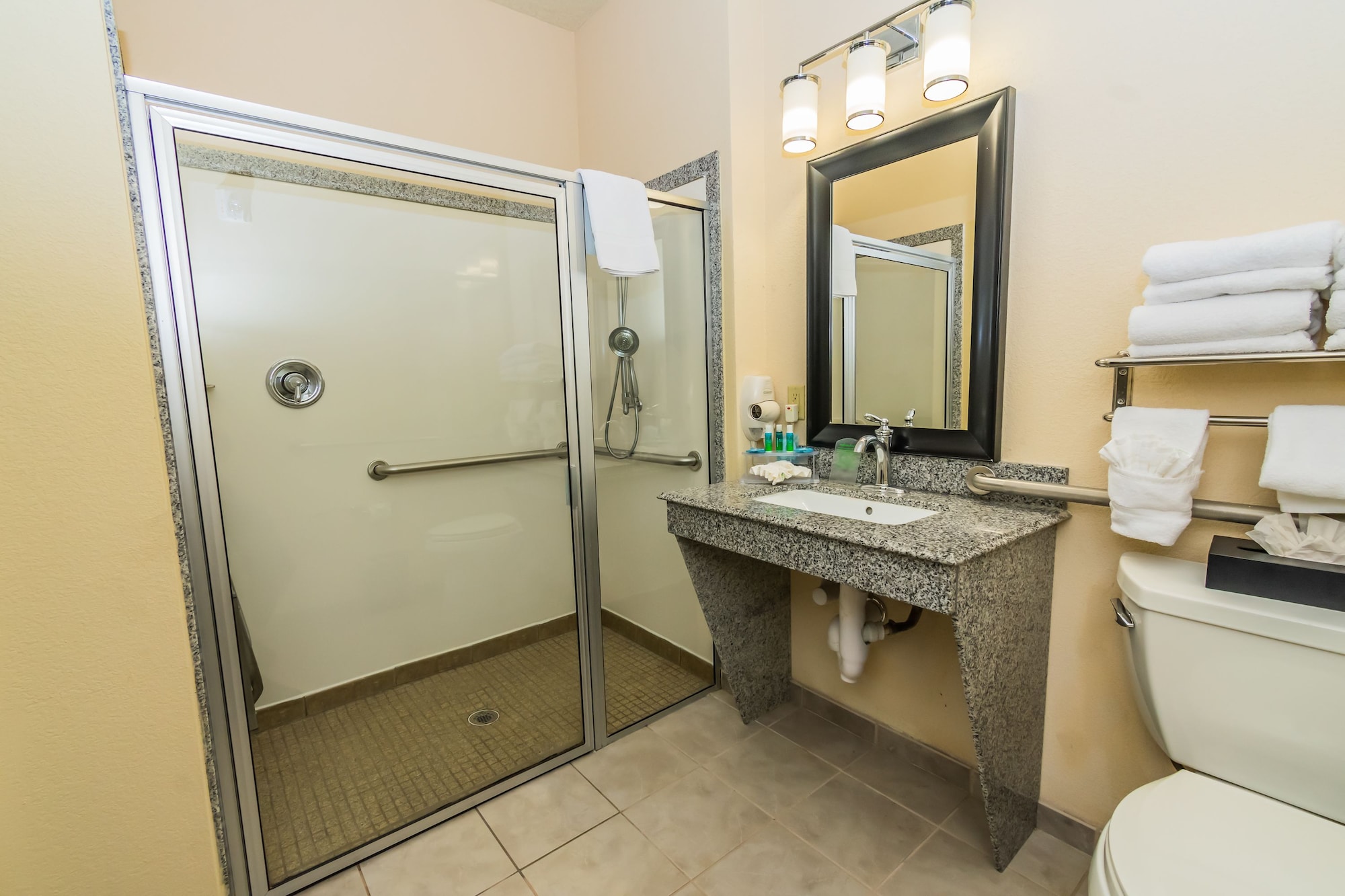 holiday inn express and suites houston space center