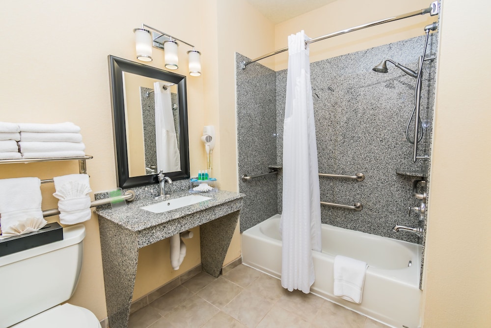 holiday inn express and suites houston space center