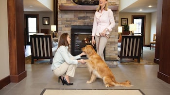 staybridge suites houston west energy corridor by ihg