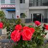 texas inn la feria