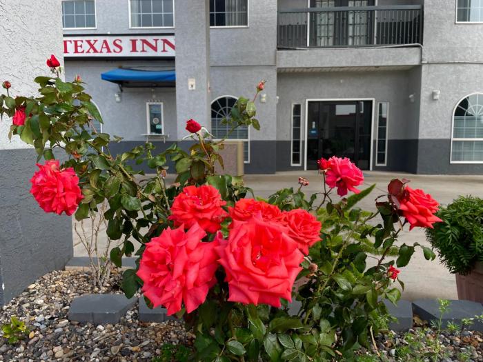 texas inn la feria