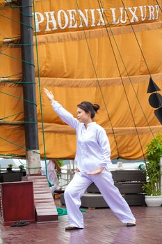 halong phoenix cruiser