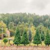brookside lodge