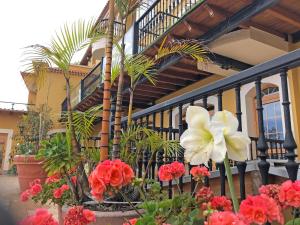 Apartamentos Estrella Del Norte,Icod De Los Vinos>>El Amparo,3 star