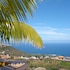 apartamentos estrella del norte