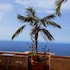 apartamentos estrella del norte