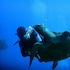 arya amed beach resort and dive center