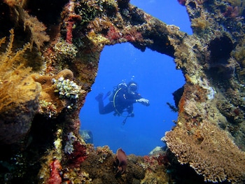 arya amed beach resort and dive center