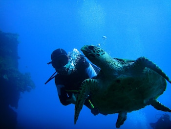 arya amed beach resort and dive center