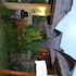 lembongan island