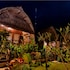 lembongan island