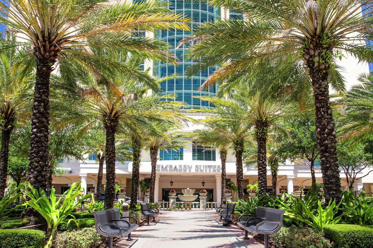 embassy suites by hilton tampa downtown convention center