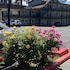 budget inn at the heavenly gondola