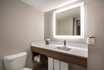 Holiday Inn Express Hotel & Suites Fredericksburg By Ihg,Falmouth>>Bowling Green,3 star