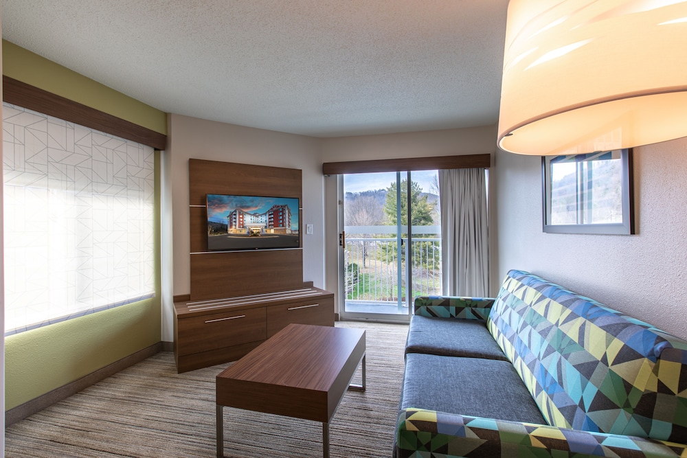 holiday inn express and suites asheville downtown by ihg
