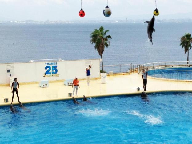 hakata green hotel tenjin