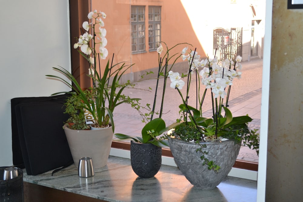 elite stora hotellet linkoping