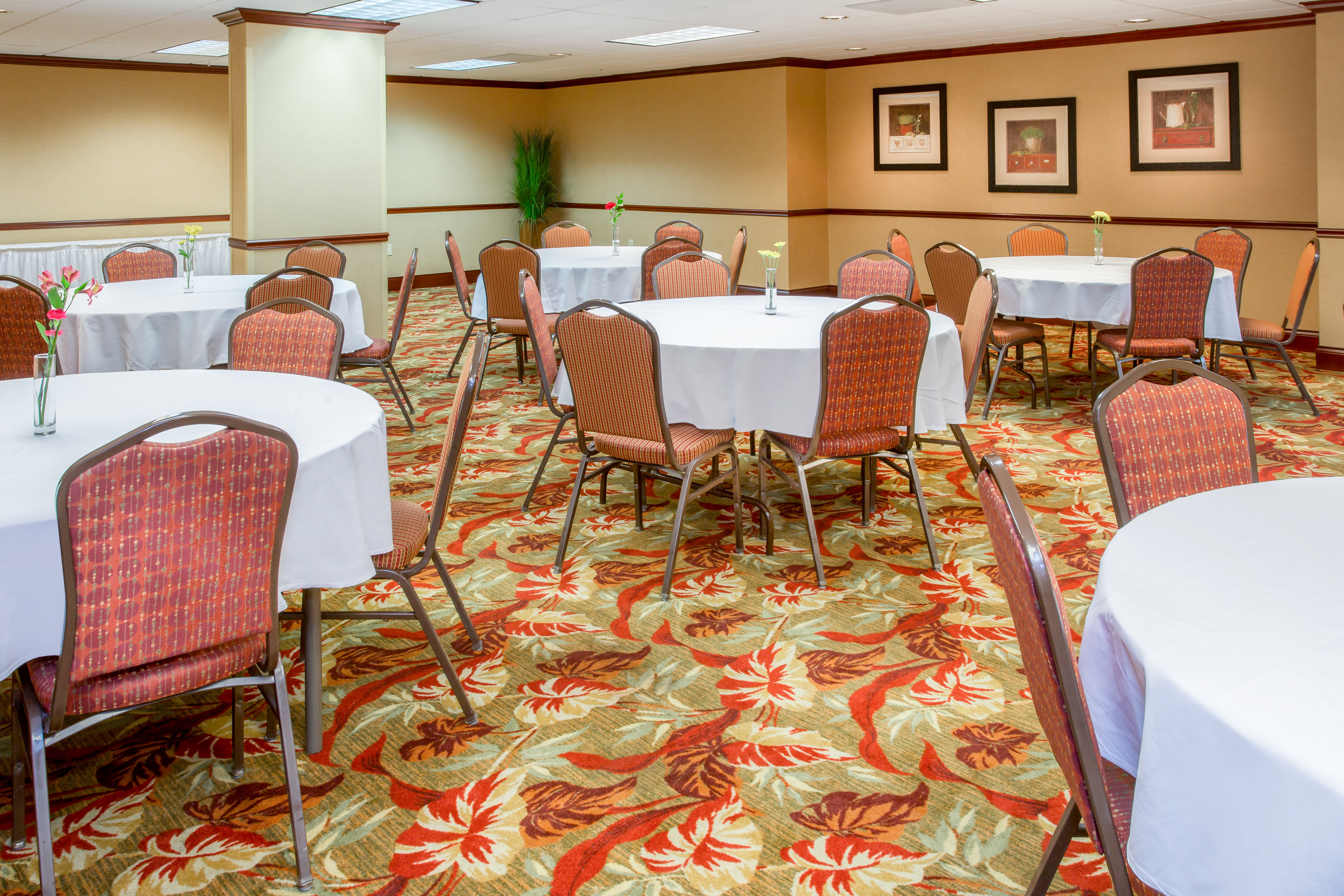 holiday inn express and suites bloomington by ihg