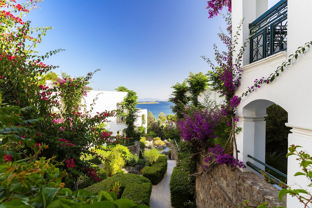 royal asarlik beach hotel and spa all inclusive