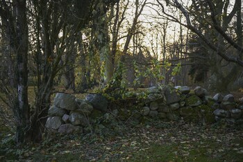 lundsgaard gods badehotel