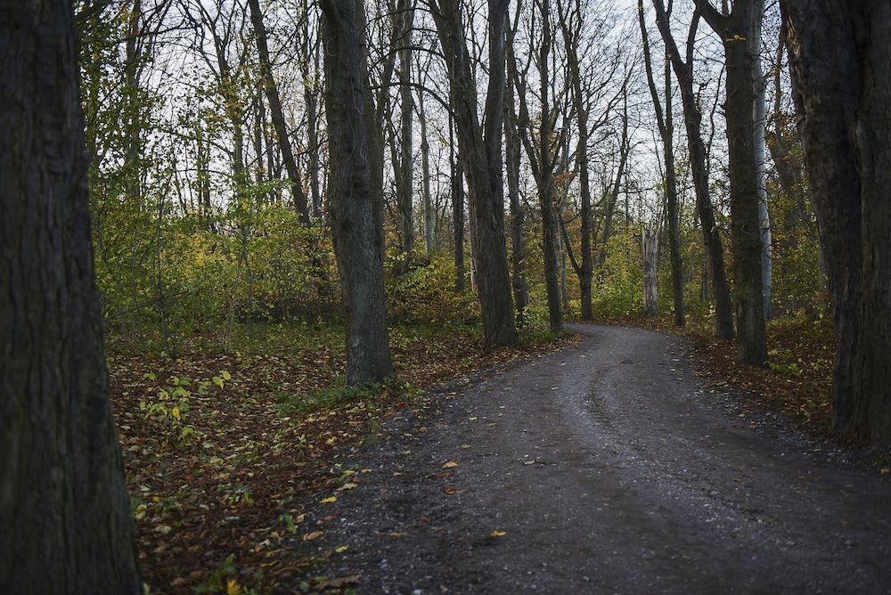 lundsgaard gods badehotel