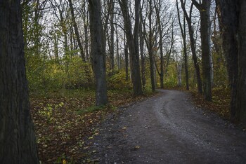 lundsgaard gods badehotel