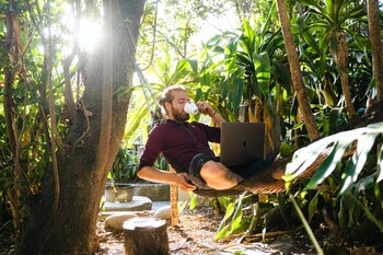 coffee shack backpackers and self catering