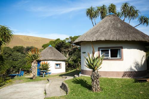 coffee shack backpackers and self catering