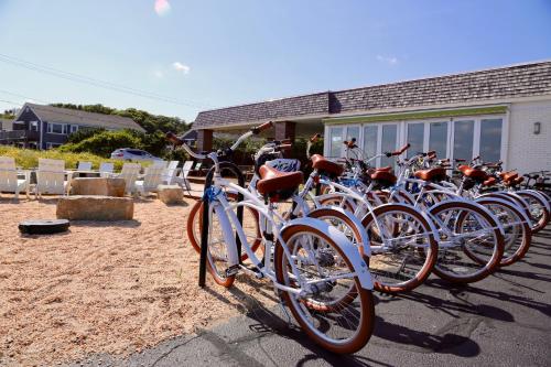 harbor hotel provincetown