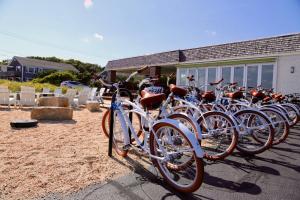 harbor hotel provincetown