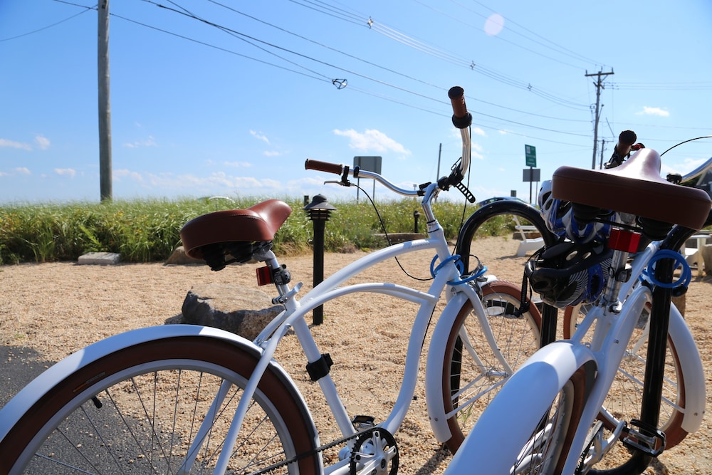 harbor hotel provincetown