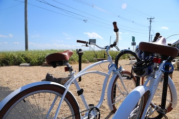 harbor hotel provincetown
