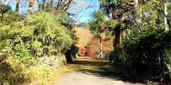 onsen yado teishaba