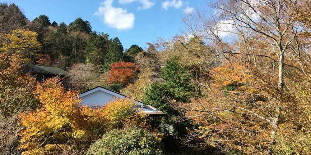 onsen yado teishaba