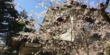 onsen yado teishaba