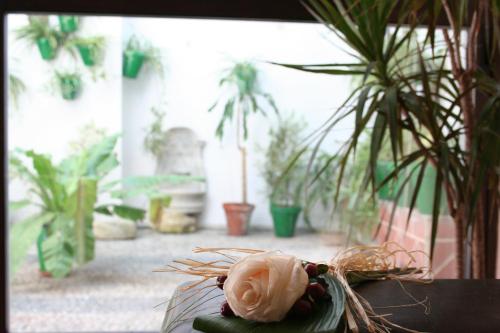 hospederia luis de gongora