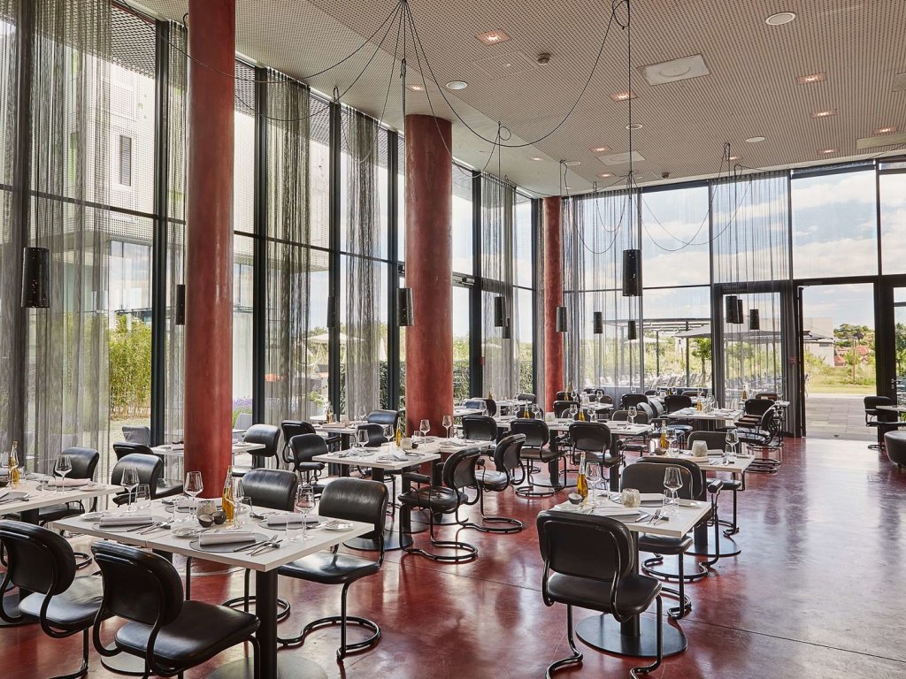 loisium wine and spa hotel langenlois